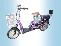 電動(dòng)自行車品牌戰(zhàn) 制勝戰(zhàn)略與實(shí)戰(zhàn)策略
